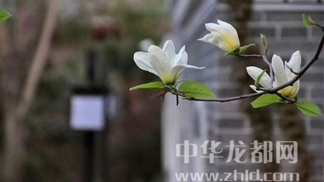 淮陽蓮舍，多了一份味道